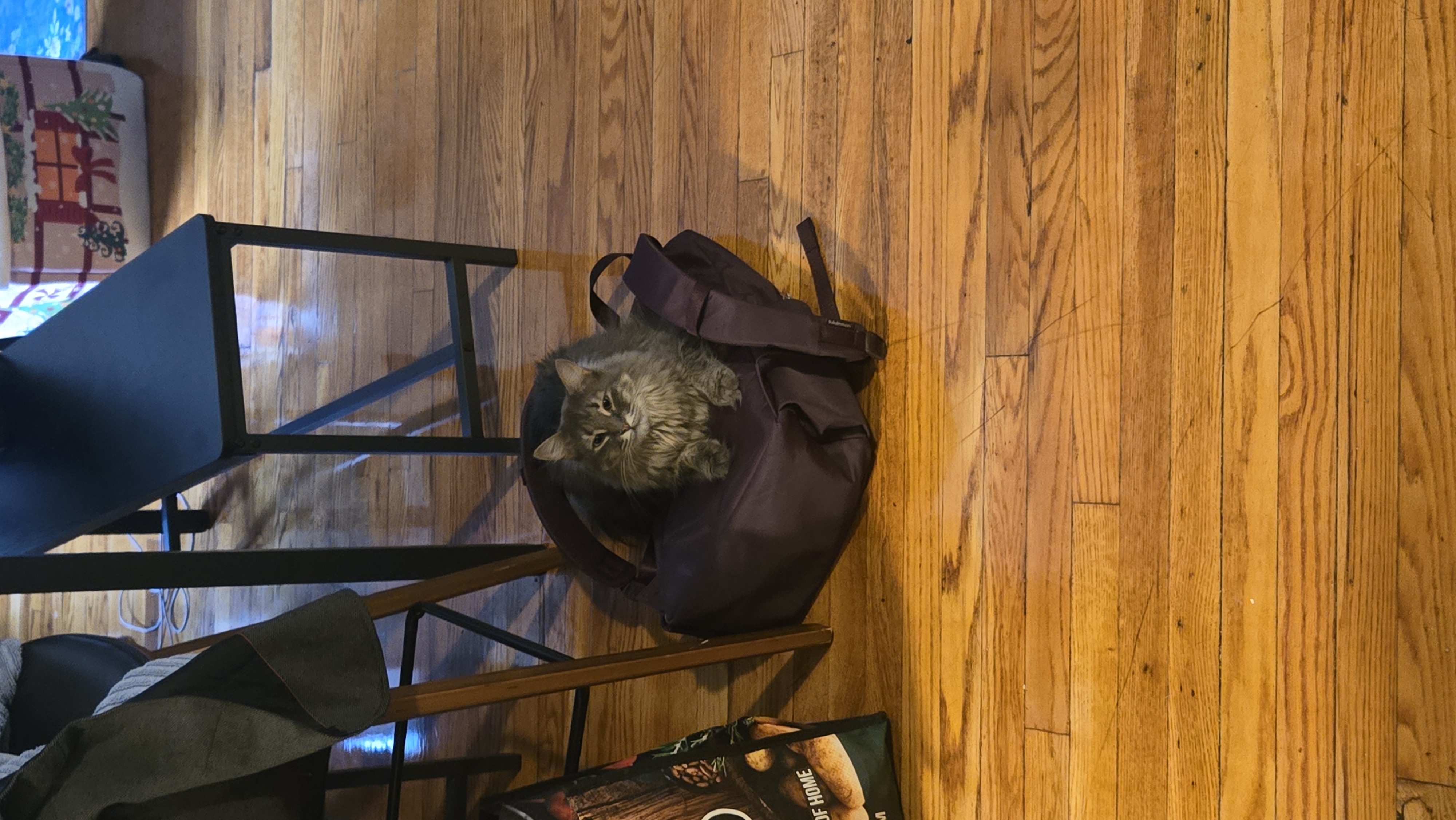 Yasmin sitting in a bag