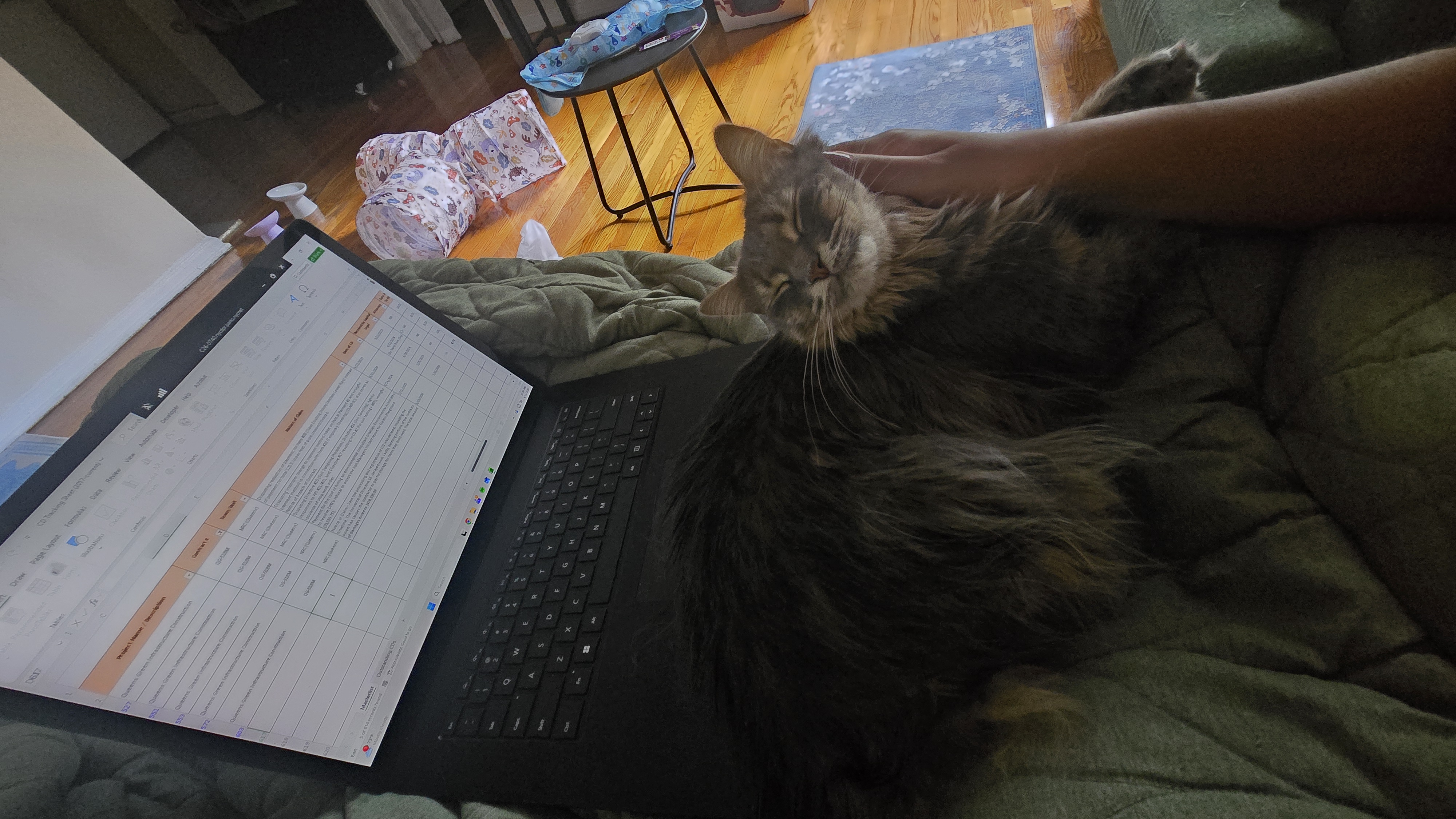 Yasmin curled up while work happens on the laptop